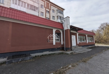 Помещение 50 кв.м. Локомотивная 116